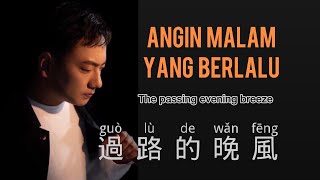 過路的晚風海來阿木  Guo Lu De Wan Feng  Hai Lai A Mu  Chinese Song  Pinyin  Mandarin Song [upl. by Regine]