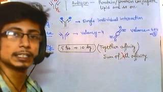 Antigen antibody reaction overview [upl. by Hettie]