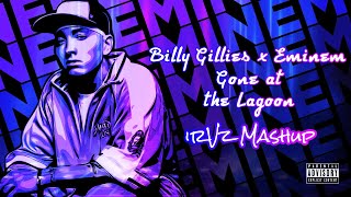 Billy Gillies x Eminem  Gone at the Lagoon irVz Mashup [upl. by Gildas]