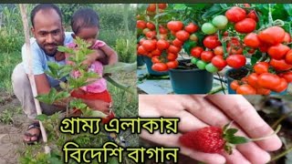 গ্রাম্য এলাকায় বিদেশি বাগান। নিজের চোখে না দেখলে বিশ্বাস করতে পারবেন না Diner golpo [upl. by Azilanna]