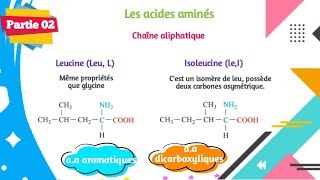 Biochimie structurale  Structure des protéines  Partie 0214 [upl. by Haida]