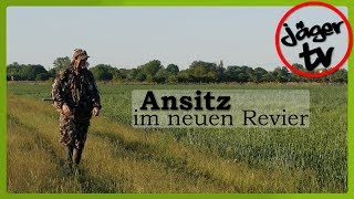 Sauen amp Co  Ansitz im neuen Revier [upl. by Bamford]