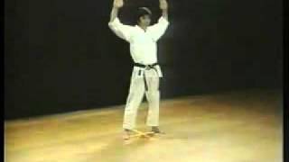 11 Kata Kanku Dai Shotokan Karate Hirokazu Kanazawa [upl. by Nnaeirb]