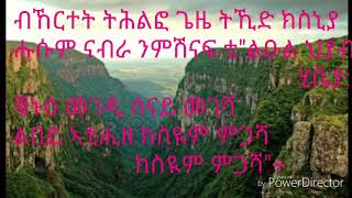 Tigrignamusic Ethiopian music Solomon Haile Sidet ስደትquot with lyrics [upl. by Essa79]