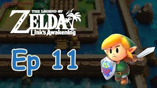 LP FR 100 Zelda  Links awakening switch 11 Descente des rapides [upl. by Chamberlin242]