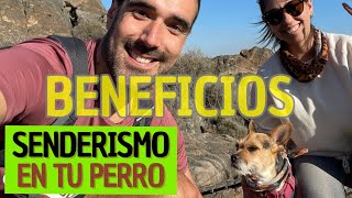 BENEFICIOS del Trekking 😀 En tu PERRO y mascota Senderismo [upl. by Allyce]