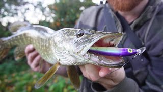 NonStop River Pike Action They Were Jumping Out For My Lure [upl. by Raul]