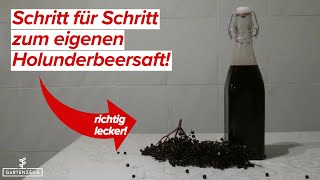 Holunderbeersaft selber herstellen  Schritt für Schritt erklärt  So einfach und lecker [upl. by Robb]