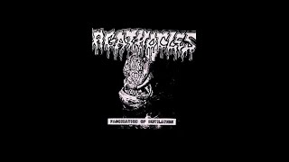 AGATHOCLES  quotFascination of Mutilationquot flexi 7quot 1990 [upl. by Ellirehs]