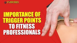 Importance of Trigger Points to Fitness Professionals William Huhn Method for Trigger Point Massage [upl. by Enitnelav]