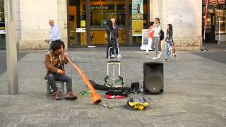 Techno didgeridoo in Perth [upl. by Acsot]