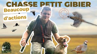 CHASSE PETITS GIBIERS BEAUCOUP DACTIONS  CHASSE EN FAMILLE ET ENTRE COPAINS [upl. by Hugues488]