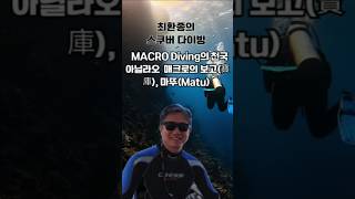 최환종의 스쿠버다이빙 시즌 스쿠버다이빙MACRODiving NembrothaLineolata 불꽃성게 [upl. by Elison]