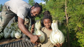 Come Harvest Cushaw Squash with Us [upl. by Adamis]