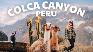 2 day Colca Canyon tour ⛰ Peru travel vlog [upl. by Ina]