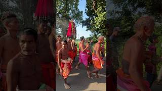 Maa🙏🌺🥥Sambalpuri bhajan song shortfeed sambalpuribhajan trending samaleibhajan odiasong [upl. by Allicirp210]