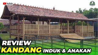 REVIEW KANDANG INDUKAN amp CEMPE [upl. by Nylorac]