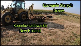 Usuwanie Starych Drzew  Koparko Ładowarka New Holland 🚜 [upl. by Dionysus]