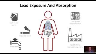 Anemia due to Lead Intoxication [upl. by Wappes]