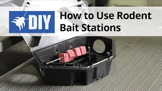 How to Use Rodent Bait Stations [upl. by Ibot]