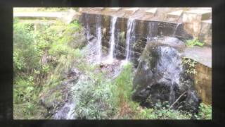 Levada Calheta  Prazeres in Madeira [upl. by Anirt]