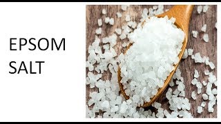 EPSOM SALT FOR PLANTS IN TAMIL [upl. by Juliet514]