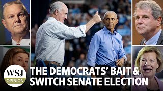 The Democrats’ Bait and Switch Senate Election [upl. by Salinas]