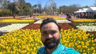 Floriade Festival Australia  Floriade  Flower  Australia  Food  Paralympic Team 🇦🇺 [upl. by Eimerej]