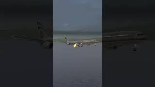 Etihad A340600 Bird Strike aviation pilot rfs realflightsimulator landing plane avgeek [upl. by Sedruol]