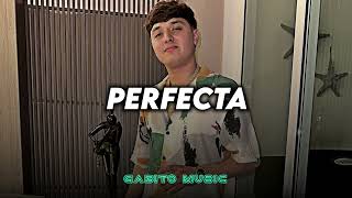 Gabito Ballesteros  Perfecta  Gabito Music [upl. by Alexi]