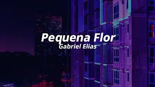 Gabriel Elias  Pequena Flor Lyrics [upl. by Javler]