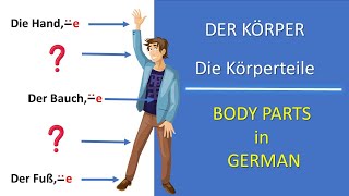 Der Körper  Die Körperteile  The body parts in German  Deutsch lernen [upl. by Seyah]