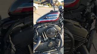 Harley Davidson Sportster XL 1200 harleydavidson sportster xl1200 motorcycle harley [upl. by Clancy]