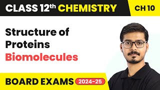 Structure of Proteins  Biomolecules  Class 12 Chemistry Chapter 10  CBSE 202425 [upl. by Eustatius]