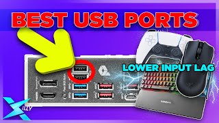 THE BEST USB PORTS LOWER INPUT LAG FOR MOUSEKEYBOARDCONTROLLER 2024 [upl. by Caril903]