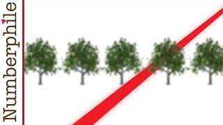 Tree Gaps and Orchard Problems  Numberphile [upl. by Akibma]