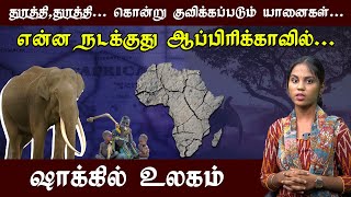 யானை கறி சாப்பிட தயாராகும் ஆப்பிரிக்கா நாடு பஞ்சம்  பசி  பட்னி [upl. by Cirilo817]