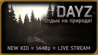 Подзаработаем в STALKER RP  DayZ [upl. by Alaric622]