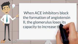 ACE inhibitors and renal artery stenosis [upl. by Gnart825]