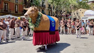 Presentació del BOU de GRÀCIA primer Ball Festa Major de Gràcia 2023 [upl. by Dirfliw933]