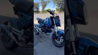 My 2023 Honda Grom with Amazon exhaust motovlog motorcycle honda hondagrom grom utah exhaust [upl. by Anoirtac]