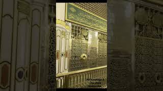 As Salam Alaika ya rasool Allahshortvideo [upl. by Babs]