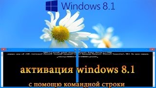 Активация windows 81 [upl. by Ailemap631]