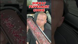 Double Chocolate Peppermint Footlong Cookie  Subway [upl. by Drucill]