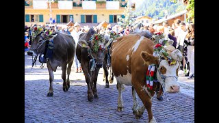 Gran festa del Desmontegar [upl. by Trovillion705]