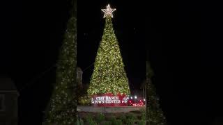 Otay Ranch Town Center Farmer’s Market TreeLighting Ceremony 111924 [upl. by Michelina]