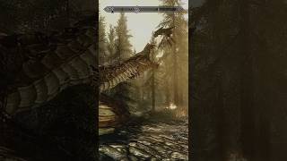 The roads in Skyrim are dangerous 😱 ElderScrolls Skyrim DangerousRoads [upl. by Thistle]