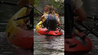 Kayak Adventure at Curaçao Rif Mangrove Park shorts [upl. by Allit]