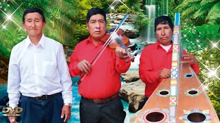 IMPRESIONANTE ALABANZA CON ARPA Y VIOLÍN CONJUNTO RIO CHICHA AYAPAMPATEMA DESPEDIDA 2021 [upl. by Ramyar]