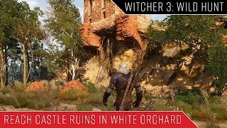 The Witcher 3 reach castle ruins in White Orchard Viper School Gear [upl. by Mascia]